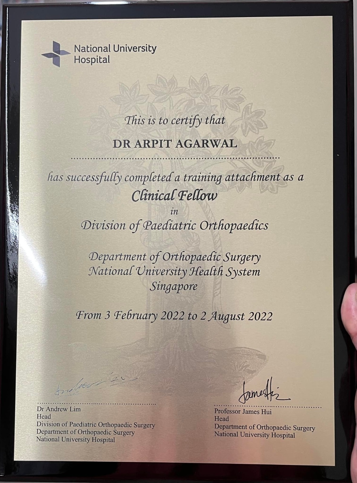 Dr Arpit Agrawal